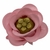 FORMINHAS 20 UNIDADES MODELO ROSE ROSA BEBÊ na internet