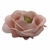 FORMINHAS 20 UNIDADES MODELO ELIZABETH ROSA CHÁ - comprar online