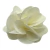 MINI FLOR 50 UNIDADES MODELO ELEGANCE OFF-WHITE