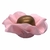 FORMINHAS 30 UNIDADES MODELO CAMÉLIA ROSA BEBÊ - comprar online