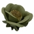 FORMINHAS 20 UNIDADES MODELO CLAIRE VERDE OLIVA CLARO