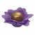 FORMINHAS 30 UNIDADES MODELO MARJORIE LAVANDA ESCURO - comprar online