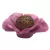 FORMINHAS 50 UNIDADES MODELO CAMÉLIA ROSA SECO - comprar online