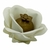 FORMINHAS 20 UNIDADES MODELO CLAIRE OFF-WHITE
