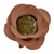 FORMINHAS 20 UNIDADES MODELO ROSE ROSÉ PEACH na internet