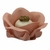 FORMINHAS 20 UNIDADES MODELO CLAIRE ROSÉ PEACH - comprar online