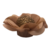 FORMINHAS 50 UNIDADES MODELO CAMÉLIA CARAMELO CLARO - comprar online
