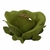 FORMINHAS 20 UNIDADES MODELO CLAIRE VERDE PISTACHE CLARO - comprar online