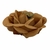 FORMINHAS 20 UNIDADES MODELO ELIZABETH BEGE DOURADO - comprar online