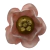 FORMINHAS 20 UNIDADES MODELO ADELLE ROSA CHÁ - comprar online