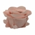 FORMINHAS 20 UNIDADES MODELO ROSE ROSA CHÁ - comprar online