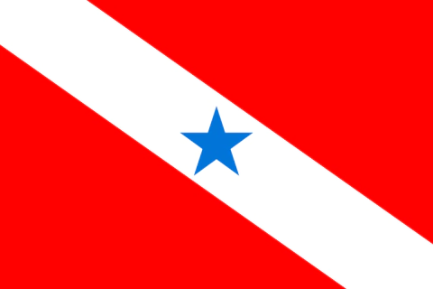 Bandeira do Pará