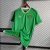 CAMISA SELEÇÃO IRLANDA 23/24 TORCEDOR-CASTORE-MASCULINA-VERDE - comprar online