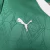 Camisa Palmeira I n/s 25/26-Puma-Feminina - loja online