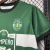 CAMISA SPORTING LISBOA CHAMPION EDITION 23/24 TORCEDOR-NIKE-MASCULINA-VERDE - Loja de Artigos Esportivos |São Jorge Sports Multimarcas
