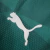CAMISA PALMEIRA I COM PATROCINIO+PATCH 23/24 TORCEDOR-PUMA-MASCULINA-VERDE - Loja de Artigos Esportivos |São Jorge Sports Multimarcas