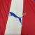 CAMISA SELEÇÃO PARAGUAI HOME 24/25 TORCEDOR-PUMA-MASCULINA-BRNACA/VERMELHO - loja online
