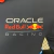 CAMISA POLO F1 ONE RED BULL RACING-(VERSTAPPEN-1)-2024-MASCULINA-AZUL/MARINHO na internet