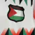 CAMISA DEPORTIVO PALESTINO HYPEPEACE JOINT EDITION 24/25 TORCEDOR-MASCULINA-BRANCA na internet
