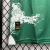 Imagem do CAMISA PALMEIRA EDIÇÃO ESPECIAL 24/25 TORCEDOR-PUMA-MASCULINA-VERDE