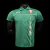 CAMISA PALMEIRA EDIÇÃO ESPECIAL 23/24 TORCEDOR-PUMA-MASCULINA-VERDE - comprar online