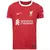 CAMISA LIVERPOOL GOLEIRO 22/23 TORCEDOR-NIKE-MASCULINA-ROXO - (cópia) on internet