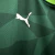 CAMISA PALMEIRA I 23/24 TORCEDOR-PUMA-MASCULINA-VERDE - loja online