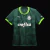 CAMISA PALMEIRA I 23/24 TORCEDOR-PUMA-MASCULINA-VERDE - comprar online