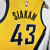 REGATA NBA SWINGMAN INDIANA PACERS-NIKE JORDAN-MASCULINA-Nº43 SIAKEM - loja online