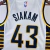 Imagem do REGATA NBA SWINGMAN INDIANA PACERS-NIKE-MASCULINA-Nº43 SIAKEM