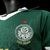 KIT INFANTIL PALMEIRA I CAMISA E SHORT 2024/2025 na internet