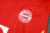 CONJUNTO BAYERN MUNCHEN TREINO CAMISA SEM MANGA VERMELHO E SHORT PRETO 23/24 - (cópia) - Loja de Artigos Esportivos |São Jorge Sports Multimarcas
