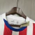 Imagem do CAMISA SELEÇÃO PARAGUAI HOME 24/25 TORCEDOR-PUMA-MASCULINA-BRNACA/VERMELHO