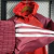 JAQUETA CORTA VENTO INTERNACIONAL 23/24 ADIDAS-MASCULINA-VERNELHO - loja online