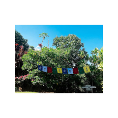 Bandeiras De Oração Budista Tibetana Om Mani Padme Hum Mantra - 8cm - comprar online