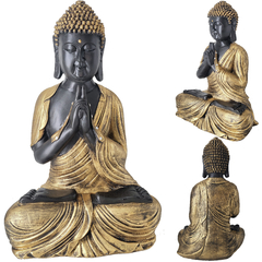 Buda Hindu Rezando 05512