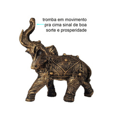 Elefante Indiano Da Sorte Grande Dourado 14002