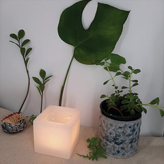 Vela Luminária Quadrada 10x10 - comprar online