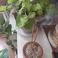 Imagem do Incenso Massala Nag Champa Satya Sai Baba