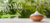 Imagem do banner rotativo Loja Mana Omॐ