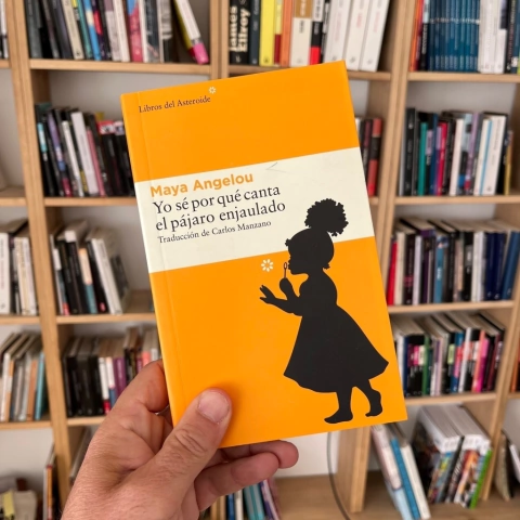Yo sé por qué canta el pájaro enjaulado - Maya Angelou