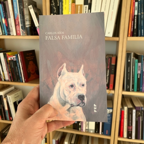 Falsa familia - Carlos Ríos