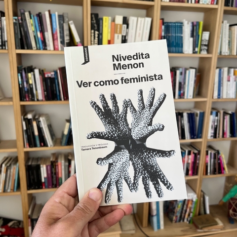 Ver como feminista - Nivedita Menon