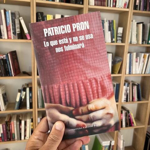 Lo que está y no se usa nos fulminará - Patricio Pron