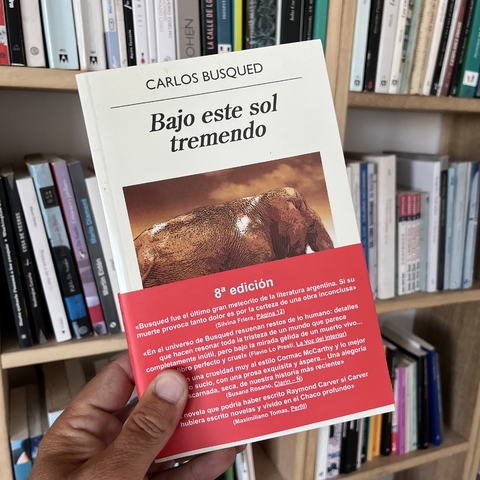 Bajo este sol tremendo - Carlos Busqued