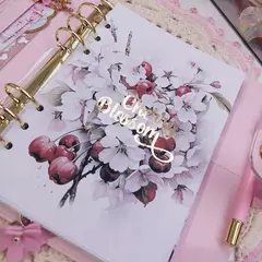 Kit Dash Clear Cherry