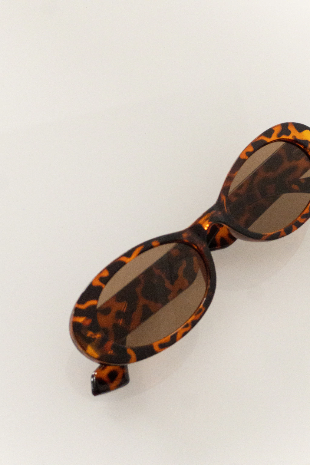 SUNGLASSES TURTLE