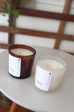 Vela refúgio • Gengibre e vanilla | Âmbar na internet