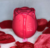 My flower- Estimulador Clitoriano Recarregável - 7 velocidades - Vermelho - Ouse & Fascine Artigos Sensuais | Loja Expert em Cosméticos Sensuais | Consultoria Sensual Personalizada | As MELHORES marcas | Os MELHORES lançamentos 