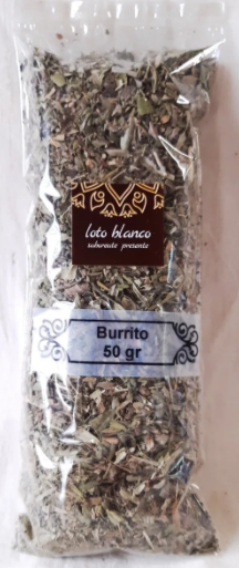 Burrito en internet